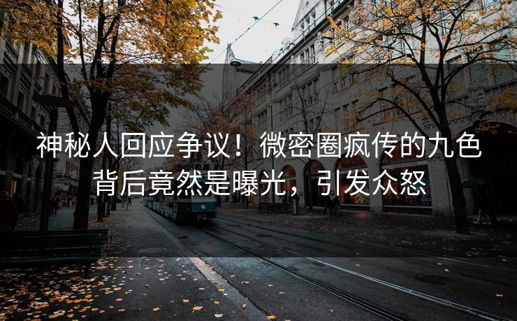 神秘人回应争议！微密圈疯传的九色背后竟然是曝光，引发众怒