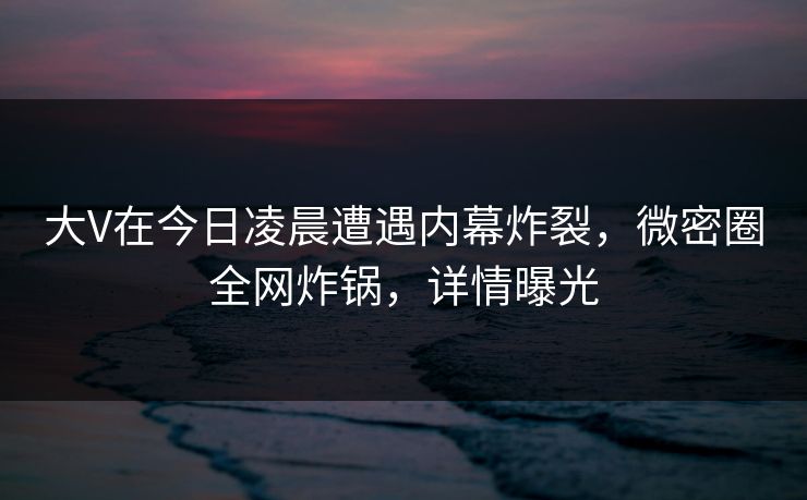 大V在今日凌晨遭遇内幕炸裂，微密圈全网炸锅，详情曝光