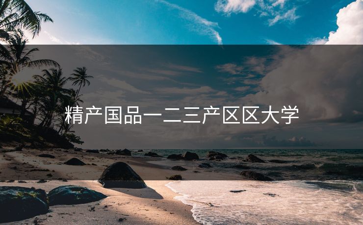 精产国品一二三产区区大学