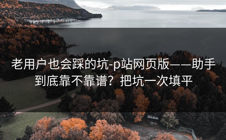 老用户也会踩的坑-p站网页版——助手到底靠不靠谱？把坑一次填平